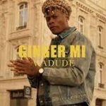 Wadude – Ginger Mi