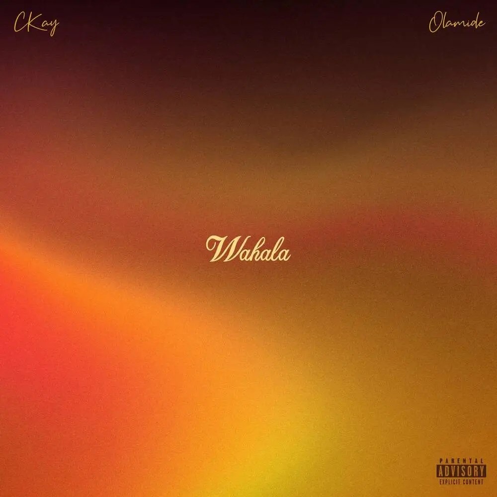 CKay – Wahala Ft. Olamide