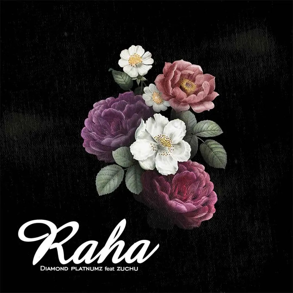 Raha by Diamond Platnumz Ft. Zuchu