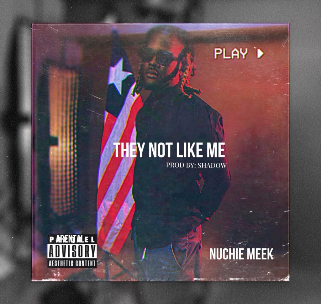 Nuchie Meek – They Not Like Me