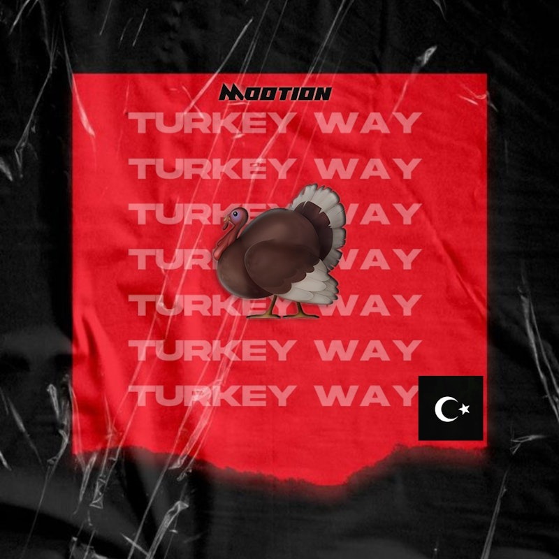 M00tion – Turkey Way