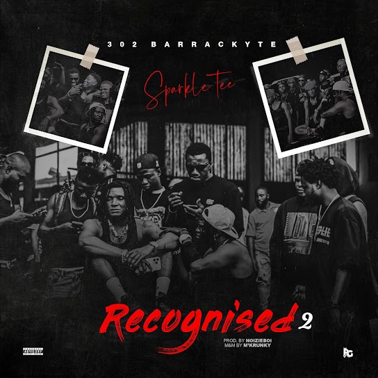 Sparkle Tee – Recognized 2