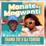 Thama Tee – Monate mogwanti 2.0