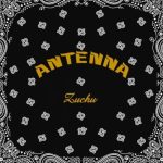 Zuchu – Antenna