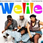 Shaunmusiq – Welile (cula) ft. Ftears, Tracy, Thatohatsi & Leemckrazy