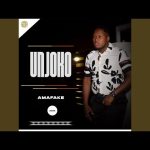 UNjoko – AmaFake (Album)