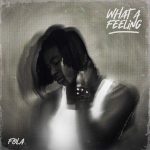 FOLA – what a feeling (EP)