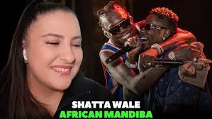 SHATTA WALE – African Mandiba